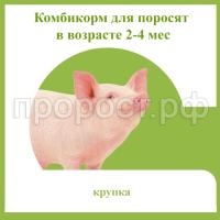 З76268 З76268