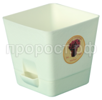 f50e59ae0d59bc6067d6aa6acfc6f574