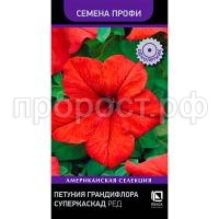 С175770 С175770