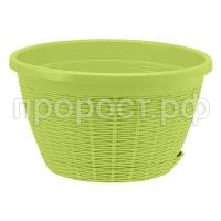 4,5_Фисташка 4,5_Фисташка