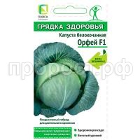 С171566 С171566
