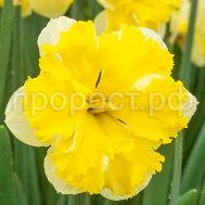 банановый ликер