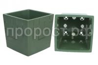 квадро нефрит