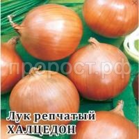 Лук репчатый Халцедон 50 г Лук репчатый Халцедон 50 г