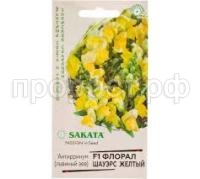 Без названия (5)