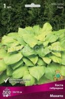 Хоста гибридная Мохито Хоста гибридная Мохито