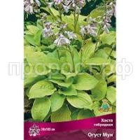 Без названия Без названия