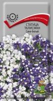 Статица Талисман Сине-белый Статица Талисман Сине-белый