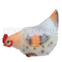 курица сидит курица сидит