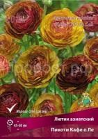 lutik_asia_picoti_kafe_o_le_kaper