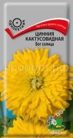 Цинния кактусовидная Бог солнца