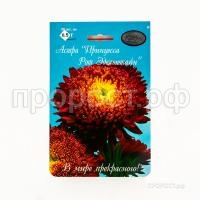 Астра Принцесса Рот Эдельштайн 200,5 Каприс Астра Принцесса Рот Эдельштайн 200,5 Каприс