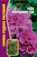 Роза морщинистая 10 шт Роза морщинистая 10 шт