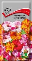 Мирабилис Броукен колорс Мирабилис Броукен колорс
