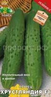 Огурец Хрустляндия F1 12шт