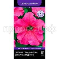 С175771 С175771