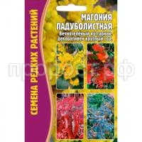 Магония Падуболистная 10 шт