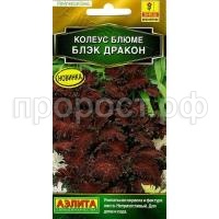 колеус блек дракон