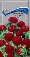 Маргаритка помпонная Ред Маргаритка помпонная Ред