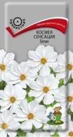 Космея Сенсация Белая Космея Сенсация Белая