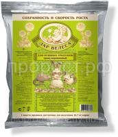 дар велеса кролик дар велеса кролик