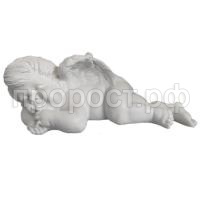 спящий белый