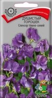 Душистый горошек Спенсер тёмно-синий Душистый горошек Спенсер тёмно-синий
