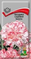 Гвоздика садовая Баэнигна Гвоздика садовая Баэнигна