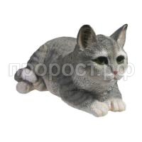 кот серый кот серый