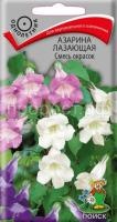 Азарина лазающая смесь окрасок 10шт Азарина лазающая смесь окрасок 10шт