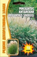Мискантус китайский 10 шт Мискантус китайский 10 шт
