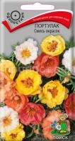 Портулак Смесь окрасок Портулак Смесь окрасок