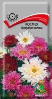 Космея Махровая кнопка Космея Махровая кнопка