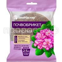 _сенполия 2_,5