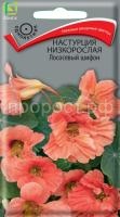 nasturtsiya_nizkoroslaya_lososevyy_shifon nasturtsiya_nizkoroslaya_lososevyy_shifon