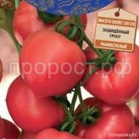 Без названия