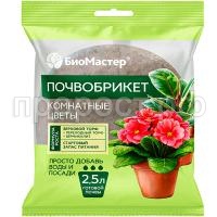 _комнатные цветы 2_,5 _комнатные цветы 2_,5