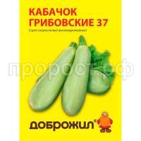 кабачок грибовские 37 кабачок грибовские 37