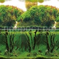 thumb_561_405_0_0_0_crop thumb_561_405_0_0_0_crop