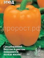 Без названия Без названия
