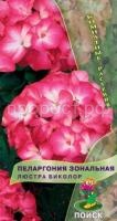 Пеларгония зональная Люстра Биколор