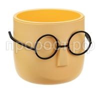 стив бан стив бан