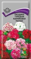 Гвоздика Турецкая карликовая Пиноккио Гвоздика Турецкая карликовая Пиноккио