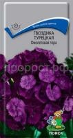 Гвоздика Турецкая Фиолетовая гора Гвоздика Турецкая Фиолетовая гора