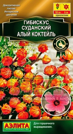Гибискус Алый коктейль 3шт Гибискус Алый коктейль 3шт