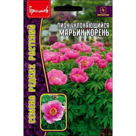 Редкие растения Пион Марьин Корень уклоняющийся 5 шт  Редкие растения Пион Марьин Корень уклоняющийся 5 шт