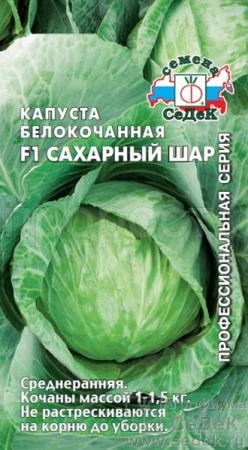 Капуста белокочанная Сахарный Шар F1 0,05г Капуста белокочанная Сахарный Шар F1 0,05г