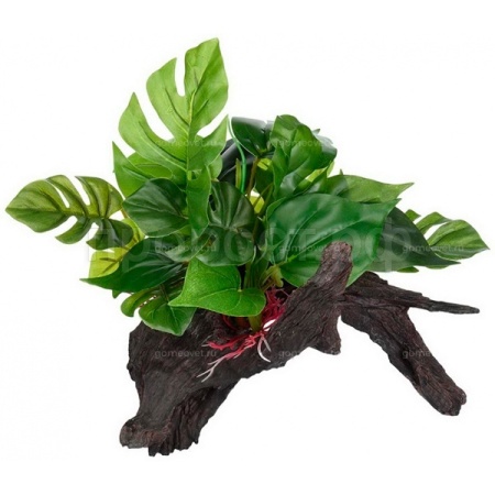 Коряга лесная LUCKY REPTILE Forest Wood Premium 37х25.5х27см (Германия) FWP-2 Коряга лесная LUCKY REPTILE Forest Wood Premium 37х25.5х27см (Германия) FWP-2