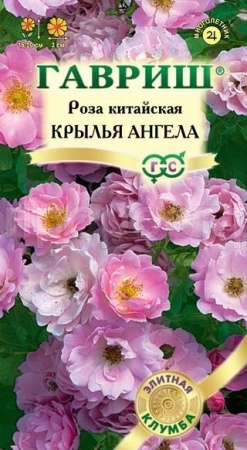 Роза китайская  Крылья ангела 5шт Роза китайская  Крылья ангела 5шт