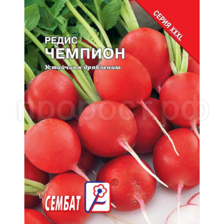 Редис Чемпион 10г  Редис Чемпион 10г